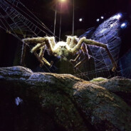 Aragog